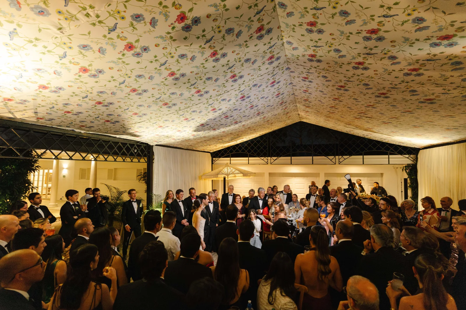 Carpa estampada de noche, Medellín