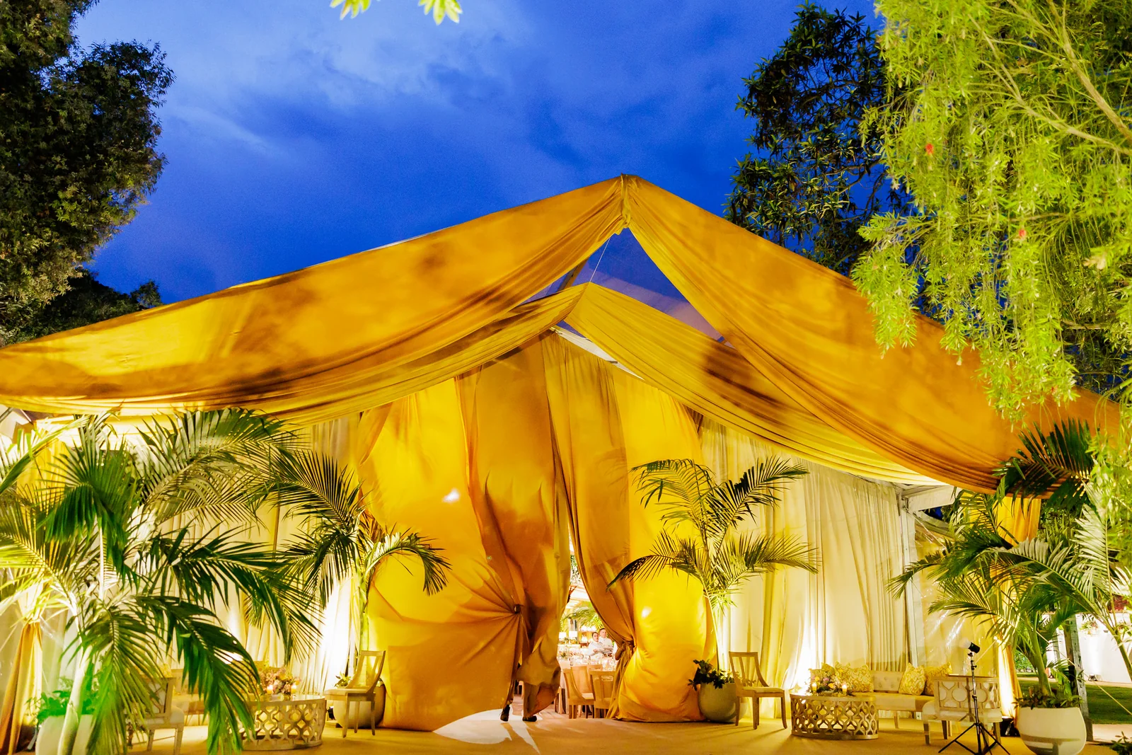 Carpa forrada en amarillo, al anochecer